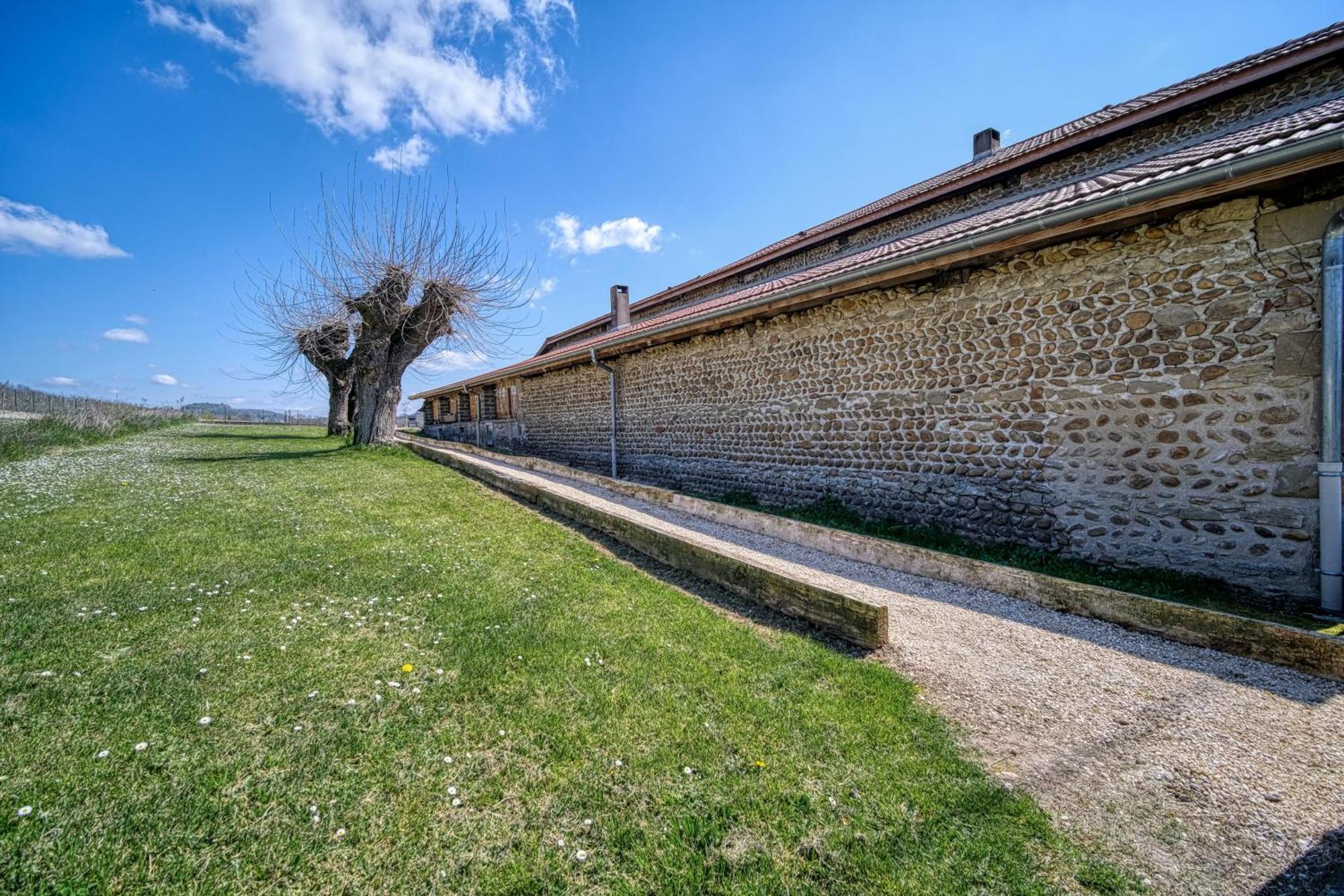 Maison Michonieres - Gite 3 Etoiles - 8 Personnes Miribel  Exterior foto